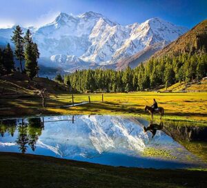 Fairy Meadows: A paradise in Karakorum